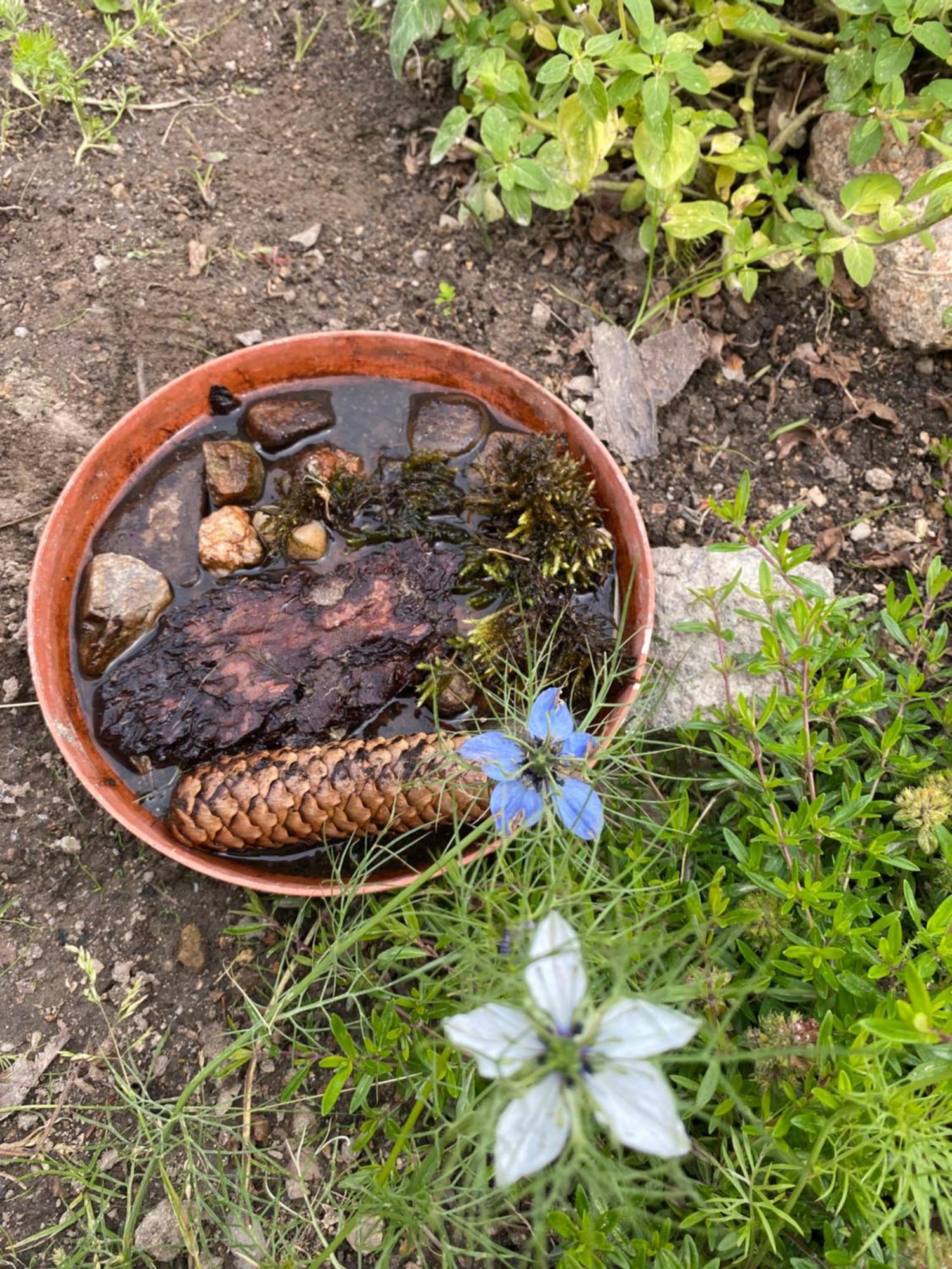 Dzika Roza Chalet Szklarska Poreba