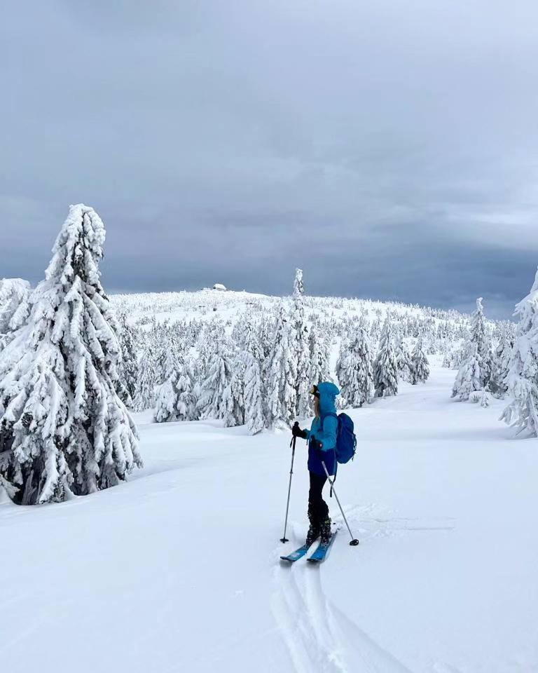 Chalet Dzika Roza Szklarska Poreba